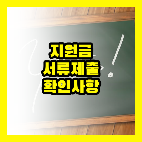 민생회복지원금 서류, 제출 전 반드시 확인해야 할 사항들