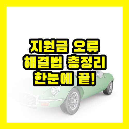 민생회복지원금, 오류 메시지별 해결법 총정리