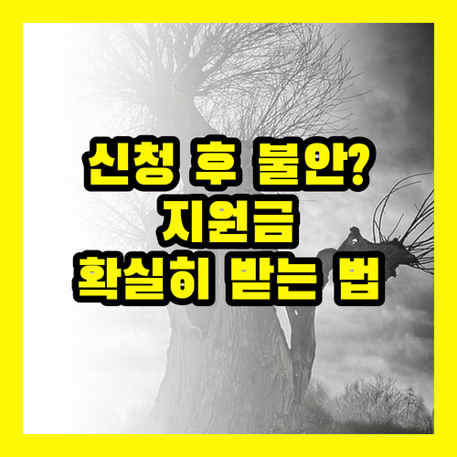 신청 후 불안? 민생회복지원금, 확실하게 받는 방법