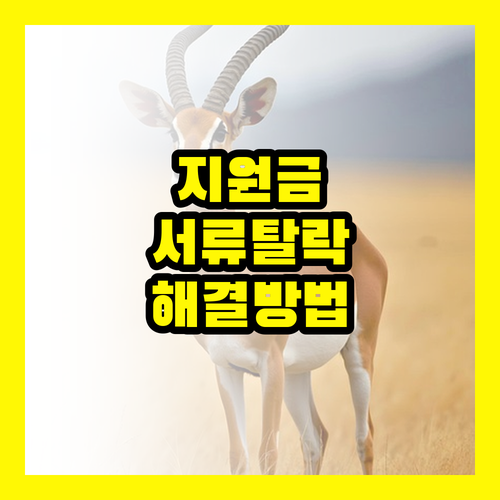 민생회복지원금, 서류제출 실패 원인과 해결 전략