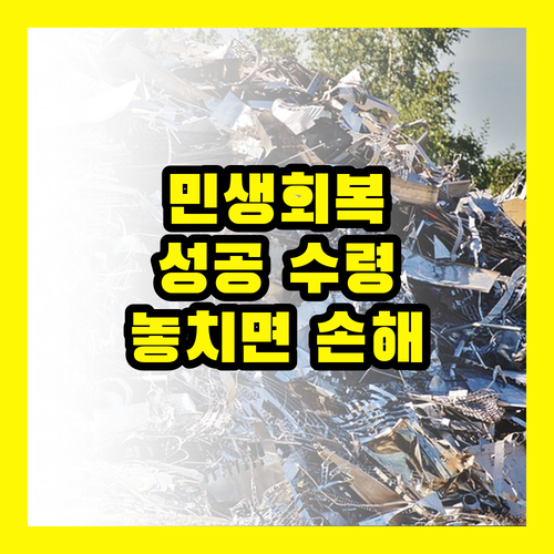 민생회복지원금, 성공 수령을 위한 핵심 가이드: 놓치면 손해!