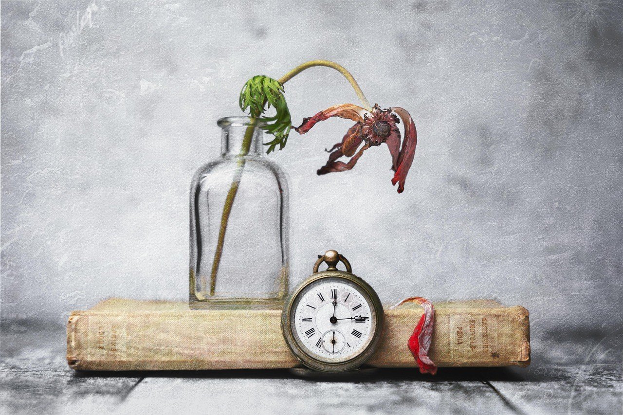 결론 이미지 1